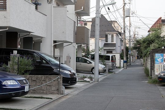 太田区のねこ
