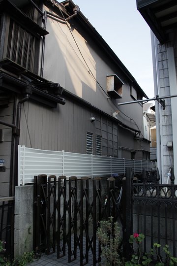 太田区のねこ