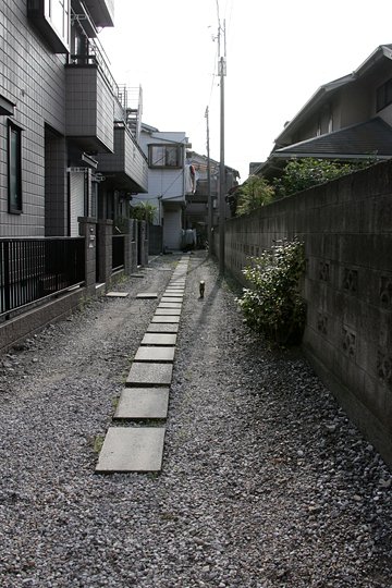 太田区のねこ