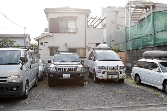 太田区のねこ