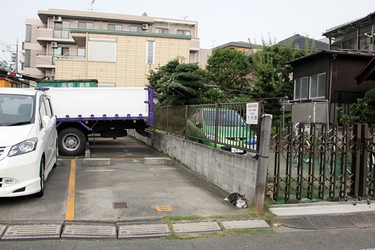 太田区のねこ