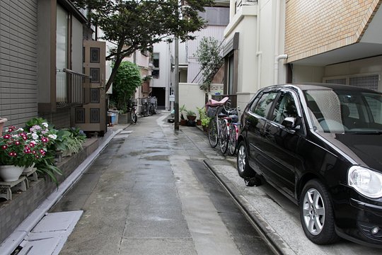 太田区のねこ