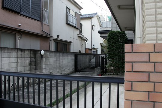 太田区のねこ