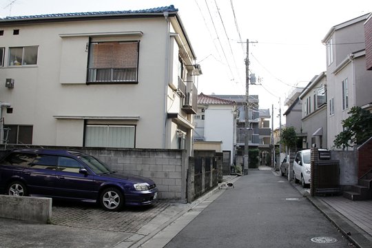 太田区のねこ