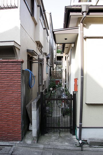 太田区のねこ