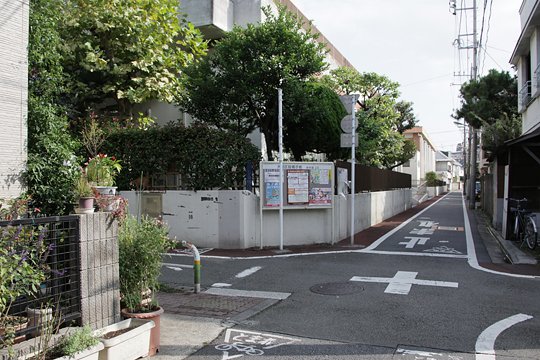 太田区のねこ
