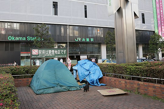 太田区のねこ