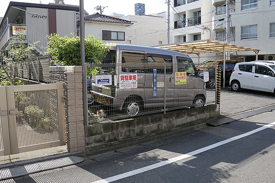 太田区のねこ