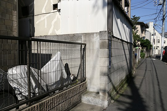 太田区のねこ