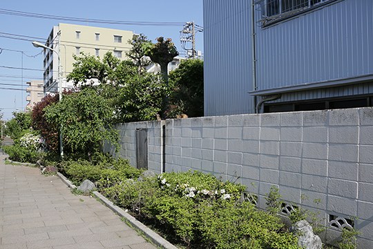 太田区のねこ