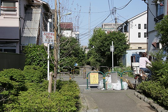 太田区のねこ
