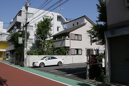 太田区のねこ