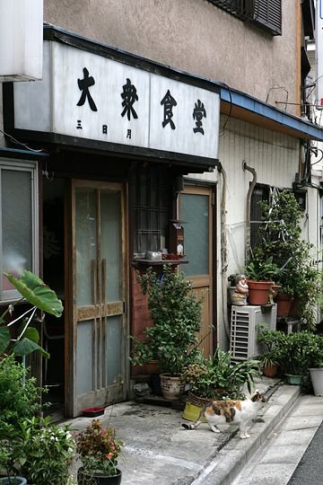太田区のねこ