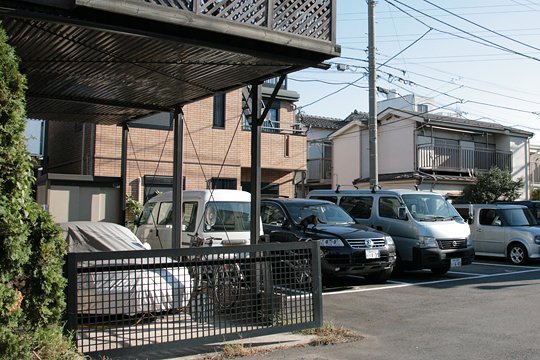 太田区のねこ