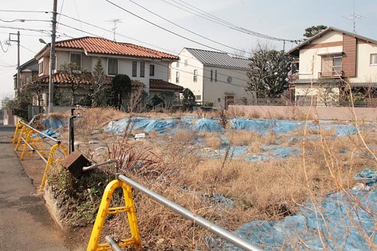 太田区のねこ