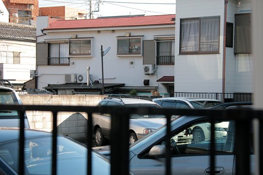 太田区のねこ