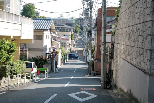 太田区のねこ