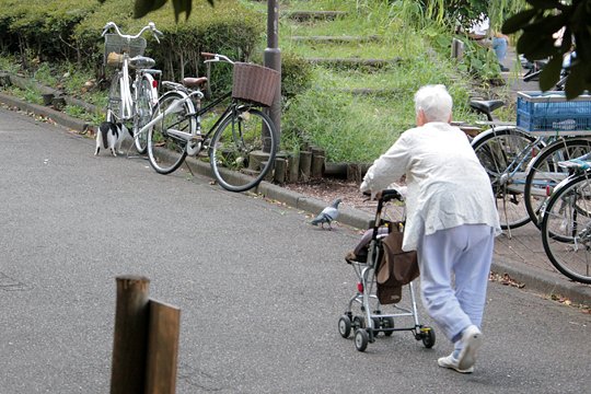 太田区のねこ