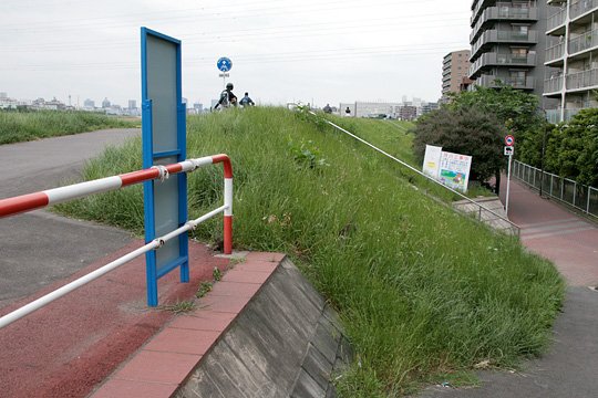 太田区のねこ