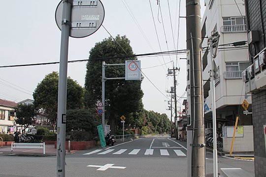 太田区のねこ