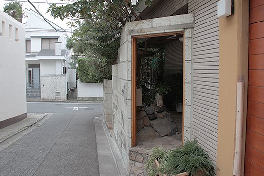 太田区のねこ