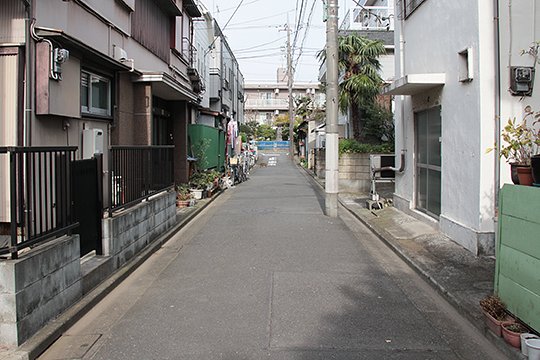 太田区のねこ