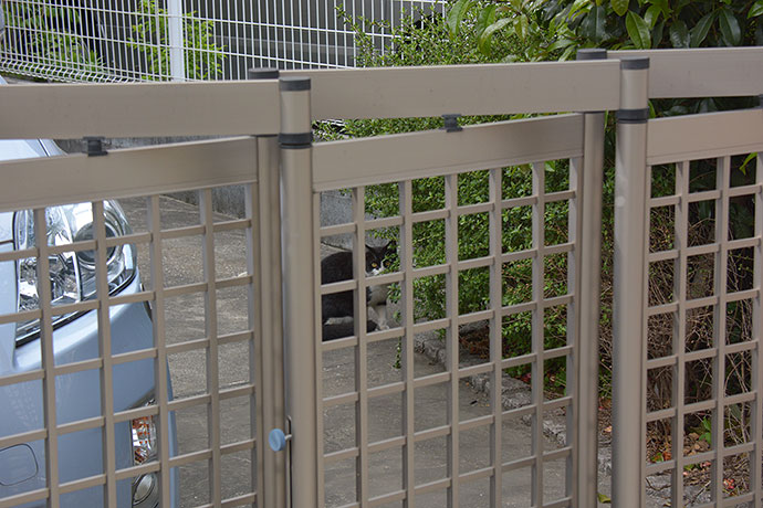 太田区のねこ