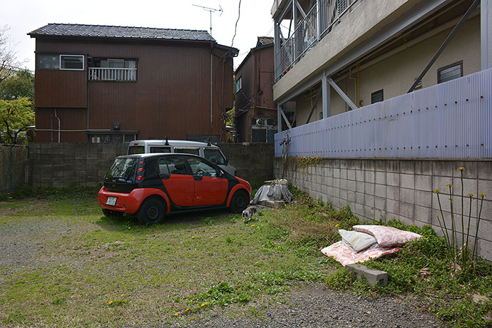 太田区のねこ