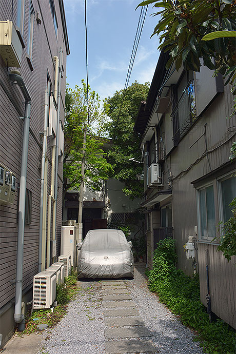 太田区のねこ
