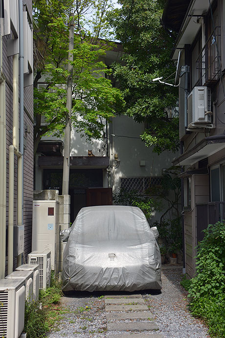 太田区のねこ