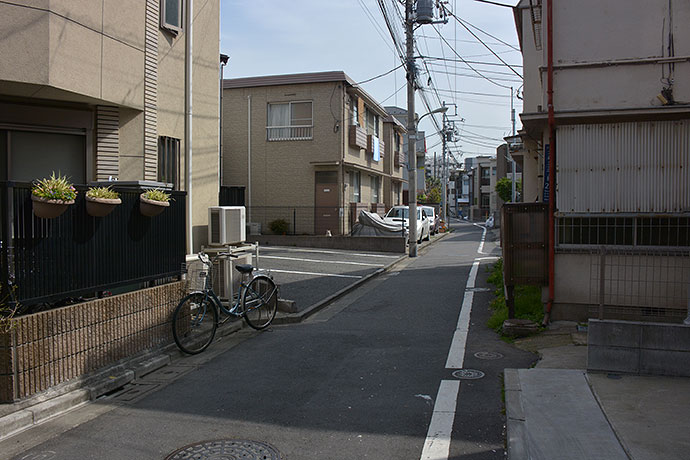 太田区のねこ