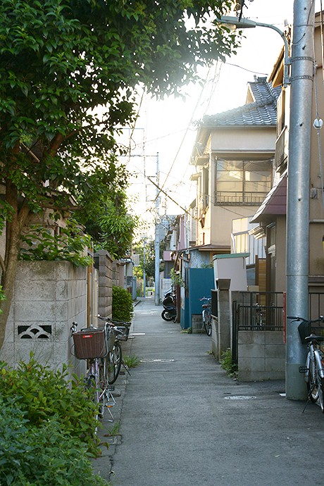 太田区のねこ