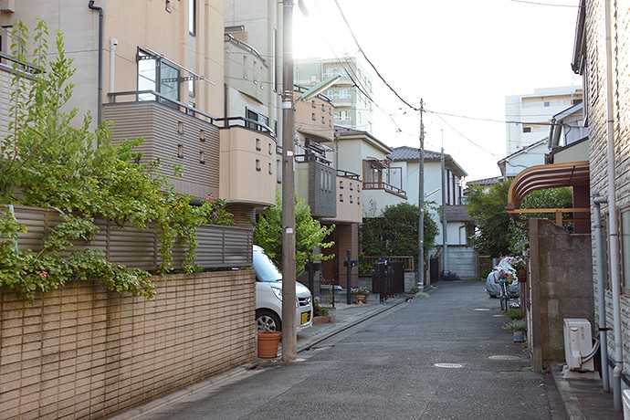 太田区のねこ