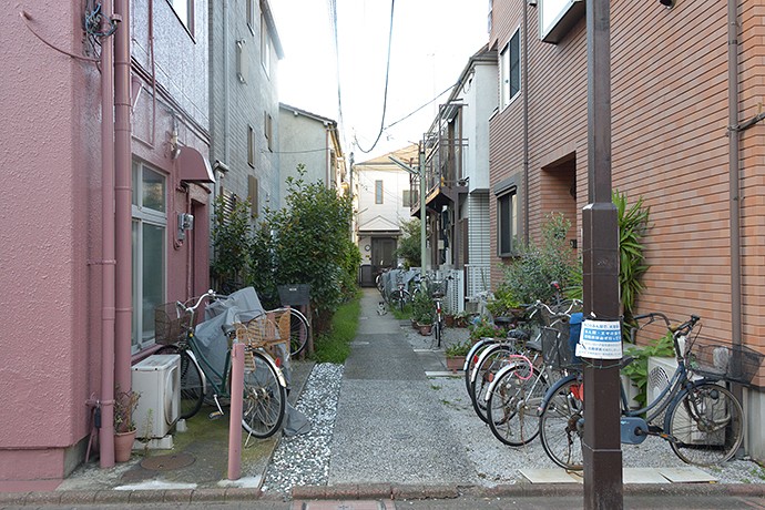 太田区のねこ