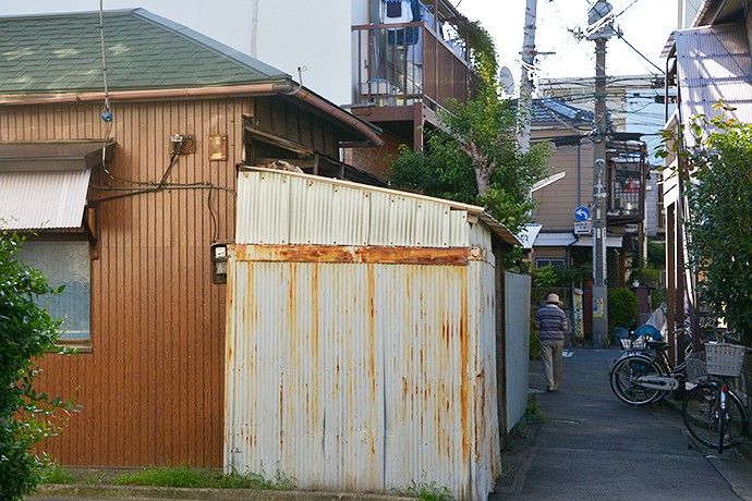 太田区のねこ