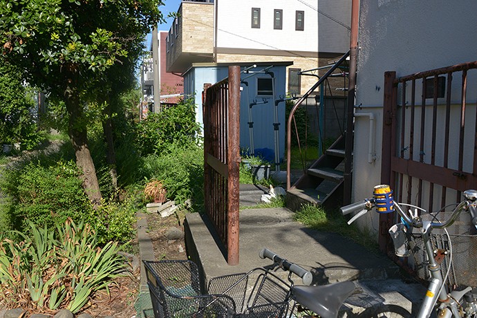 太田区のねこ
