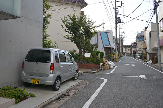 太田区のねこ