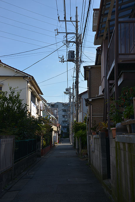 太田区のねこ