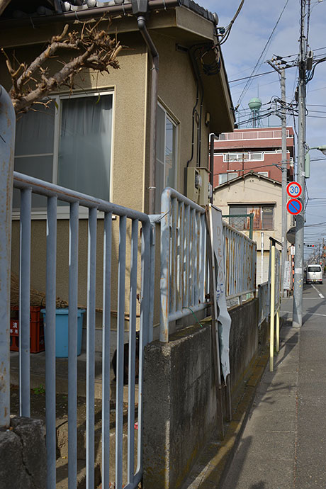 太田区のねこ