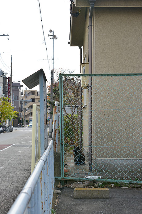 太田区のねこ