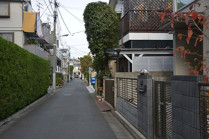 太田区のねこ