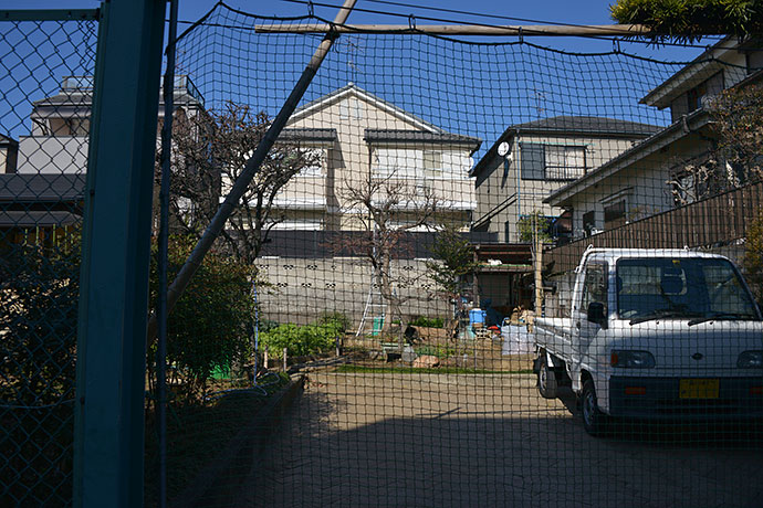 太田区のねこ
