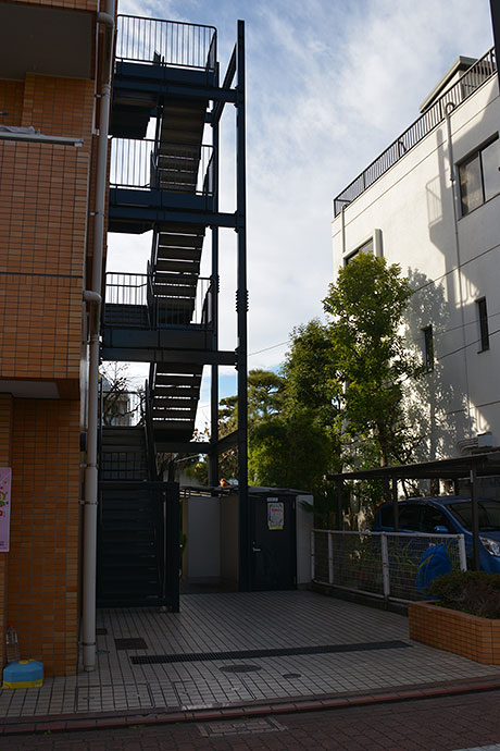太田区のねこ