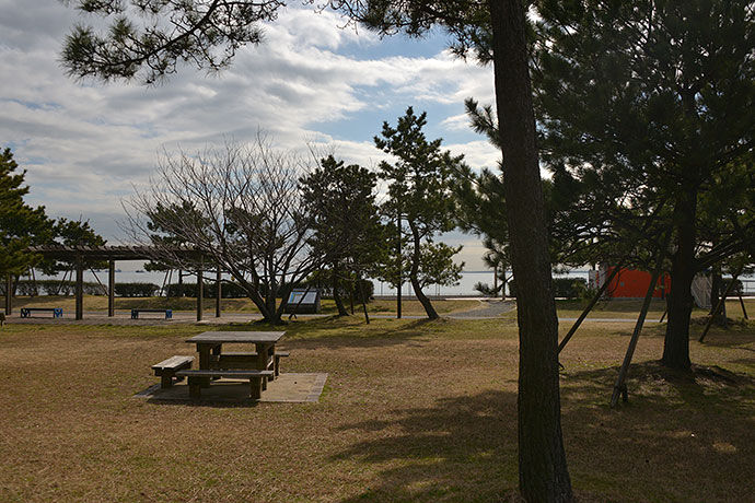 太田区のねこ