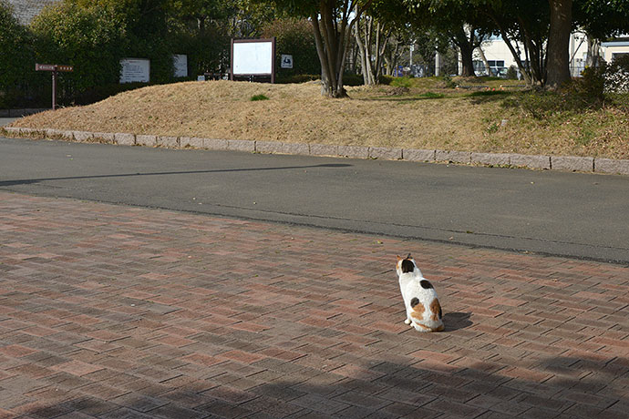 太田区のねこ