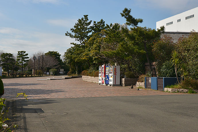 太田区のねこ