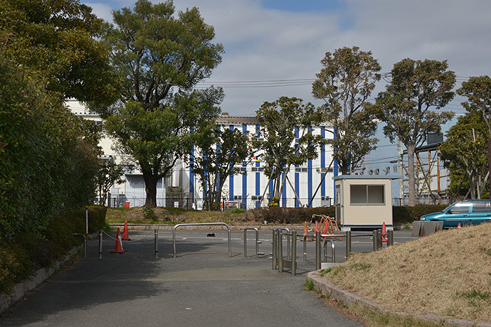 太田区のねこ