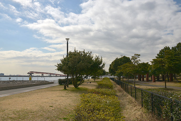 太田区のねこ