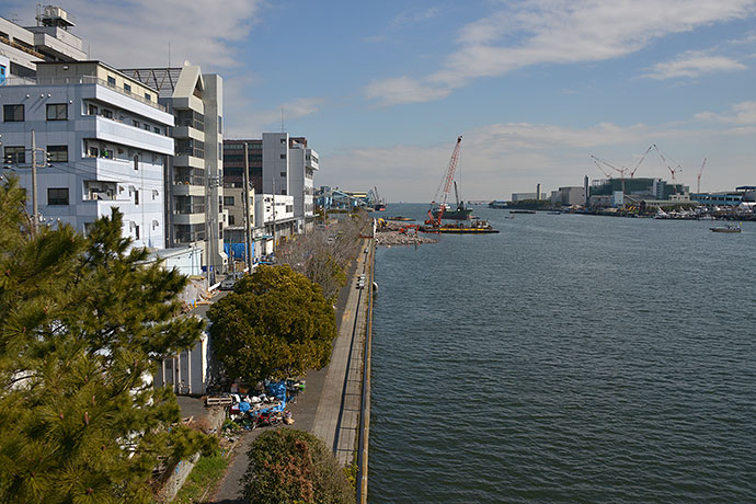 太田区のねこ