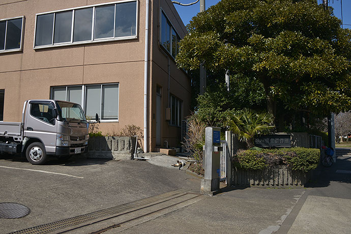 太田区のねこ